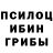 Псилоцибиновые грибы мухоморы kamperowe jazdy
