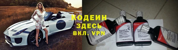 гашик Бородино