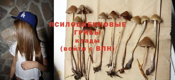 стафф Бронницы