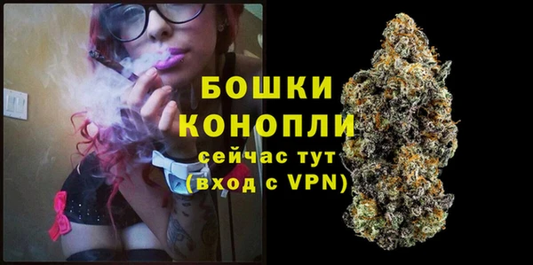 гашик Бородино