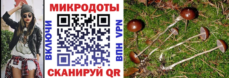 Псилоцибиновые грибы GOLDEN TEACHER  где купить   Петрозаводск 